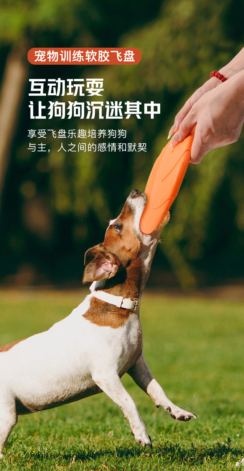 O1CN01cSuK4v1i5O0SdHHLX_!!2209