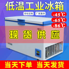 低温冰箱 超低温储藏箱 -50度超低温冷藏箱 冷冻箱 工业冷冻冰箱