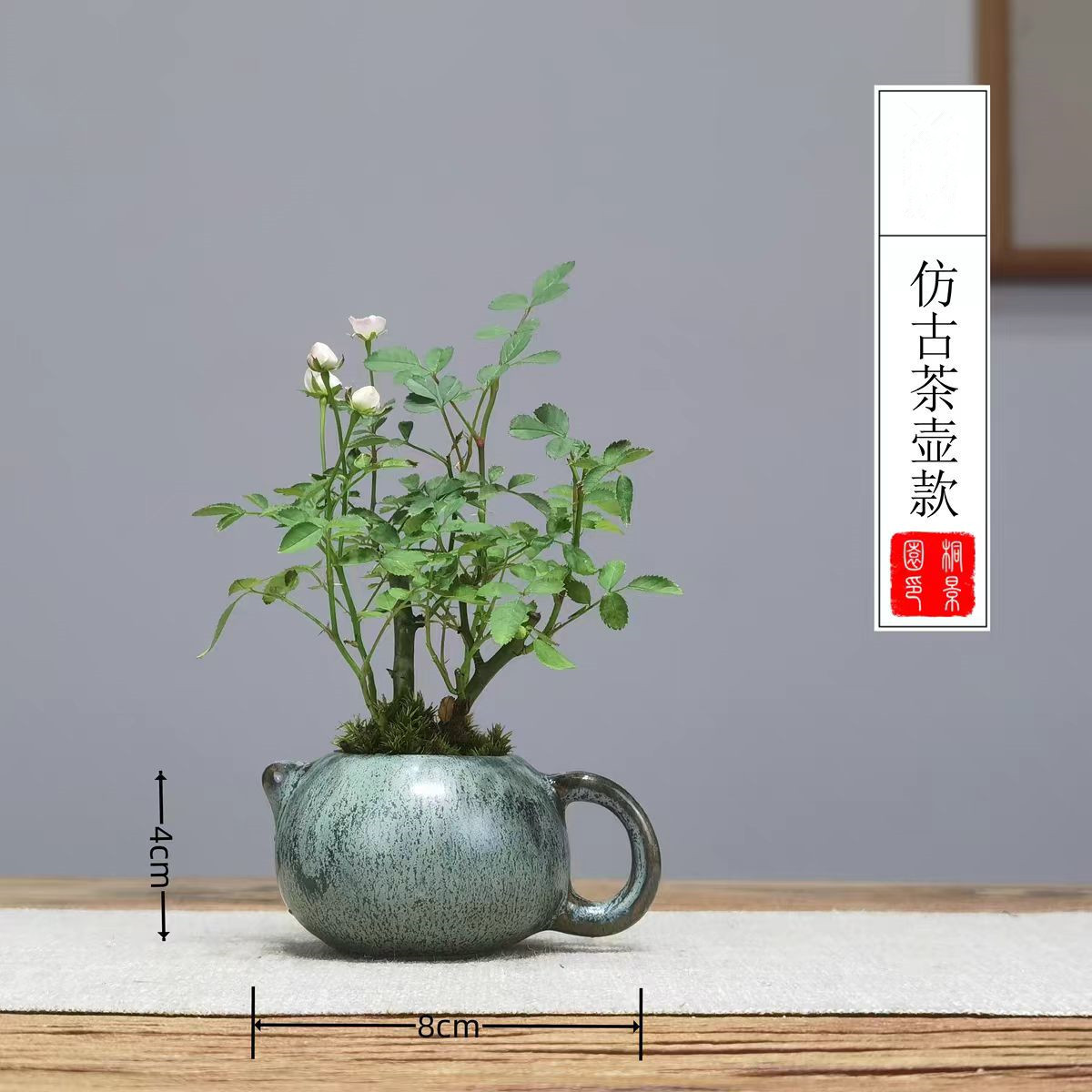 微信图片_20240526161759