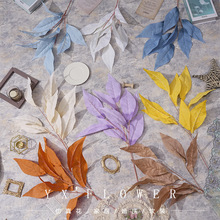 â���~ɭϵ��Y����Gֲ�쾰���b�������÷���ֲ���~�ӔzӰ����