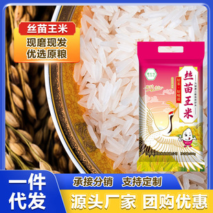 �Ϸ����������L���׽z����1��؈�����L������5���Ϸ��������l����