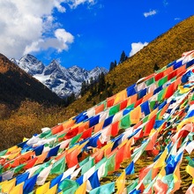 �޲������L������ɫ�콛ᦲ�������lӆ�I���L�R���������_�o��