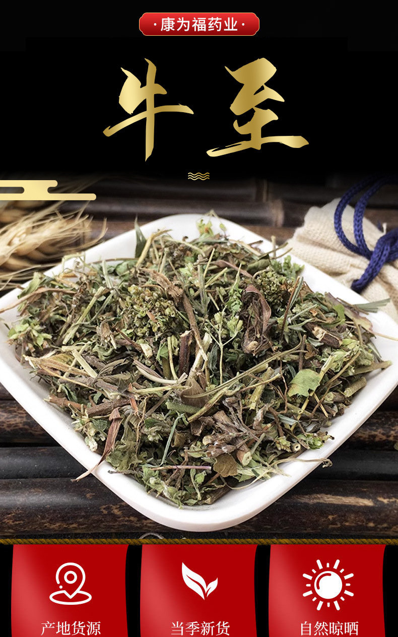 Niu Zhi Xiang (Origanum vulgare) — Dried Oregano Herb for Cooking & Herbal Tea overview