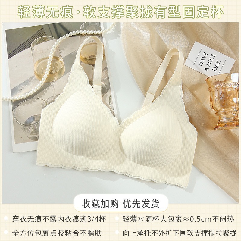 샴페인 [고정컵]