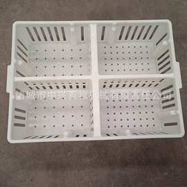 全新料鸡苗筐福德中兴运鸡筐鸡苗鸭苗周转箱图片四格鸡苗筐