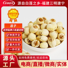 福建三明莲子芯连子芯干货无硫莲子有芯脆批发特产大颗粒新货分销