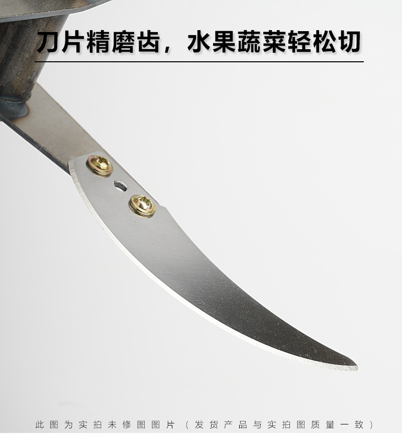 未标题-1_03.jpg