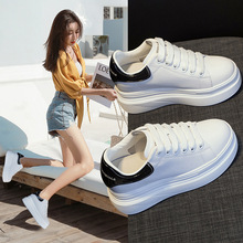 ��׃���������С��ЬŮ2025�＾�¿�W�t�\�����e�r�аٴ�ŮЬ