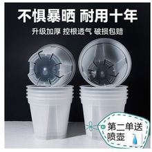 半透明青山盆透氣控根塑料高腳花盆觀根養根海芋輕島植物新款代發