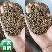 批发黄栌种子  黄栌是漆树科黄栌属落叶小乔木或灌木植物 秋