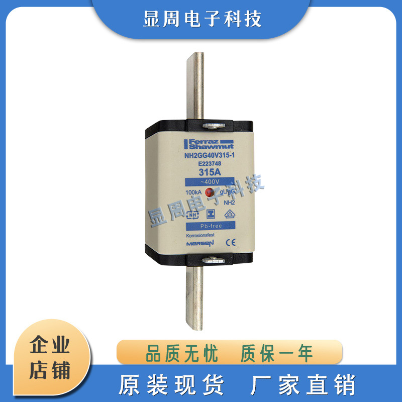 全新电子保险丝熔断器NH2GG50V25 30 35 N200802 D201345 P201861
