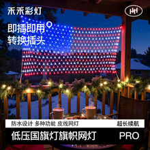 皮线24V低压国旗造型灯外贸出口高品质彩色旗帜灯工厂批发led灯