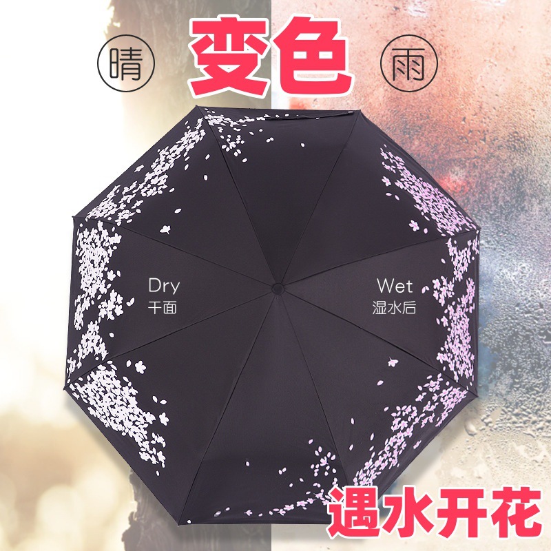 ˮɫɡ۵ڽ۵ϵӣ괴ɡ