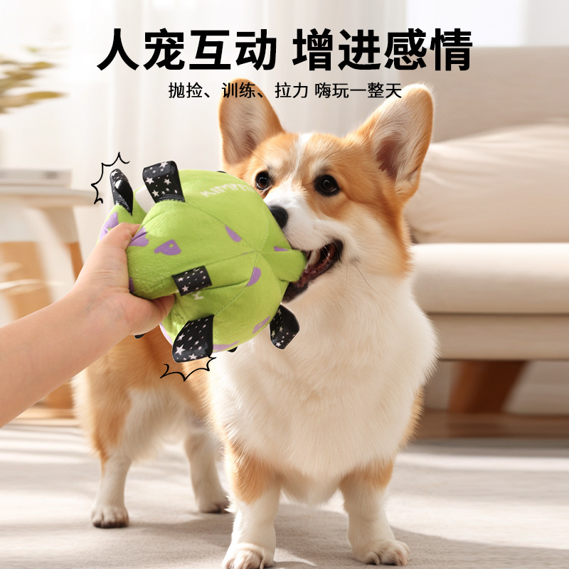 (2개) 새 개 축구 장난감 강아지 투어 훈련 장난감 공 내장 벨 애완 동물 공 용품 도매
