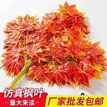 �t���~������~��֦�b٘��~���ϼtɫ�~���Sɫ�y���~�쾰�t����