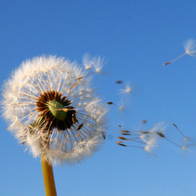 &mdash;&mdash;&mdash;&mdash;&mdash;&mdash;&mdash;&mdash;�����ġ�U~�͇\�\���һ�_��ë�� 111309