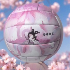 PVC机缝排球中考试比赛训练PU贴皮软硬5号沙滩排球批发Volleyball