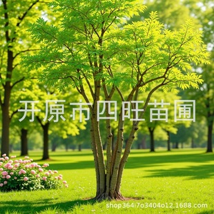 2026�������Թ������� ���Ǘ��G�hС����� ��l�ʘ���Ҏ���Rȫ