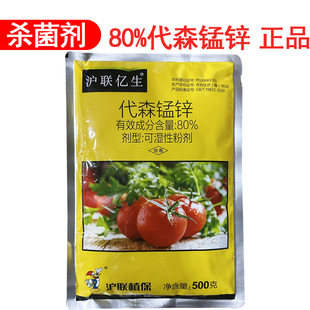 �r�Ú��������|��80%��ɭ�i�\�rș��ɭ���\��ɭ�i�\�������߲�