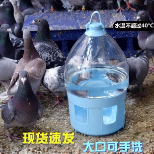 Pigeon Supplies and Utensils Pigeon Pigeon Water Drinkers Pigeon Automatic Drinking Kettle Large Thickened Drop-Resistant