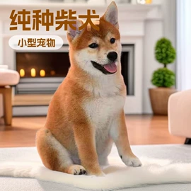 狗