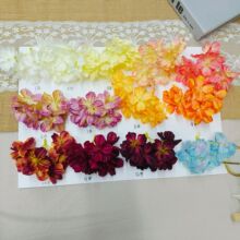 ���滨��߅�����^��������ٻ����^��ñ����������^�����廨