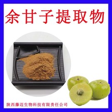 余甘子提取物支持检测余甘子浓缩浸膏粉现货余甘果提取物