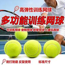 初学者训练网球高弹性耐打耐磨初中级比赛升级款按摩宠物专用网球