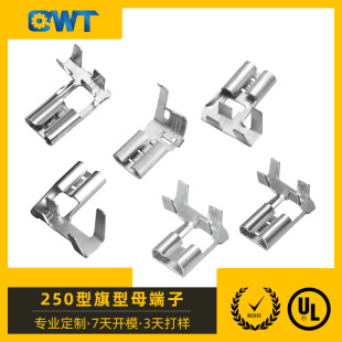 6.3�����Ώ��^���ĸ����250�����Ͷ����B�m250��ɶ���