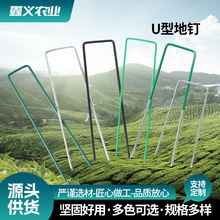 U型防草布地钉 园林多肉草坪地膜钉三维网地插帐篷固定钉 U型地钉