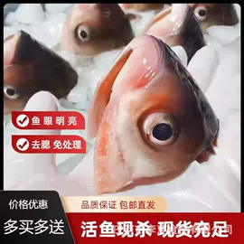 鱼类;虾类;龟鳖类