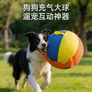 ������������Ȯ�������R��ĥӖ�����ⳬ���ش�̖�������z����