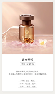 Decoration, Car Perfume Design, Car Perfume Aromatherapy - mountain-peak-chanel-encounter-low-concentration-of-grid-cover