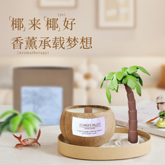 ココナッツの殻の香薫のろうそくの手作りの卸売りの家庭用の香の寝室の創意はアロマの大豆のワックスのお土産の箱を並べます。