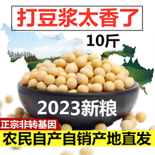 2023东北黄豆农家土黄豆高蛋白大豆10斤装打豆浆