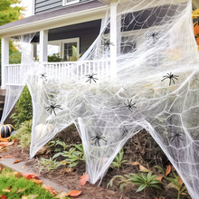 W 35933 Halloween spider web decor ��ʥ֩����װ�ο羳��