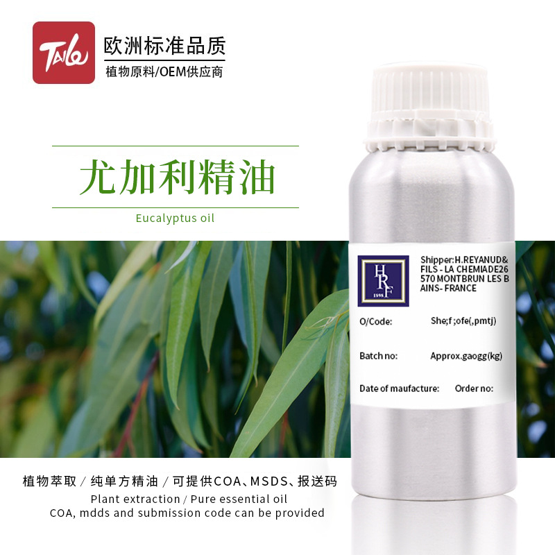 芳疗按摩油蓝胶尤加利精油原料 尤加利单方精油植物香薰精油批发