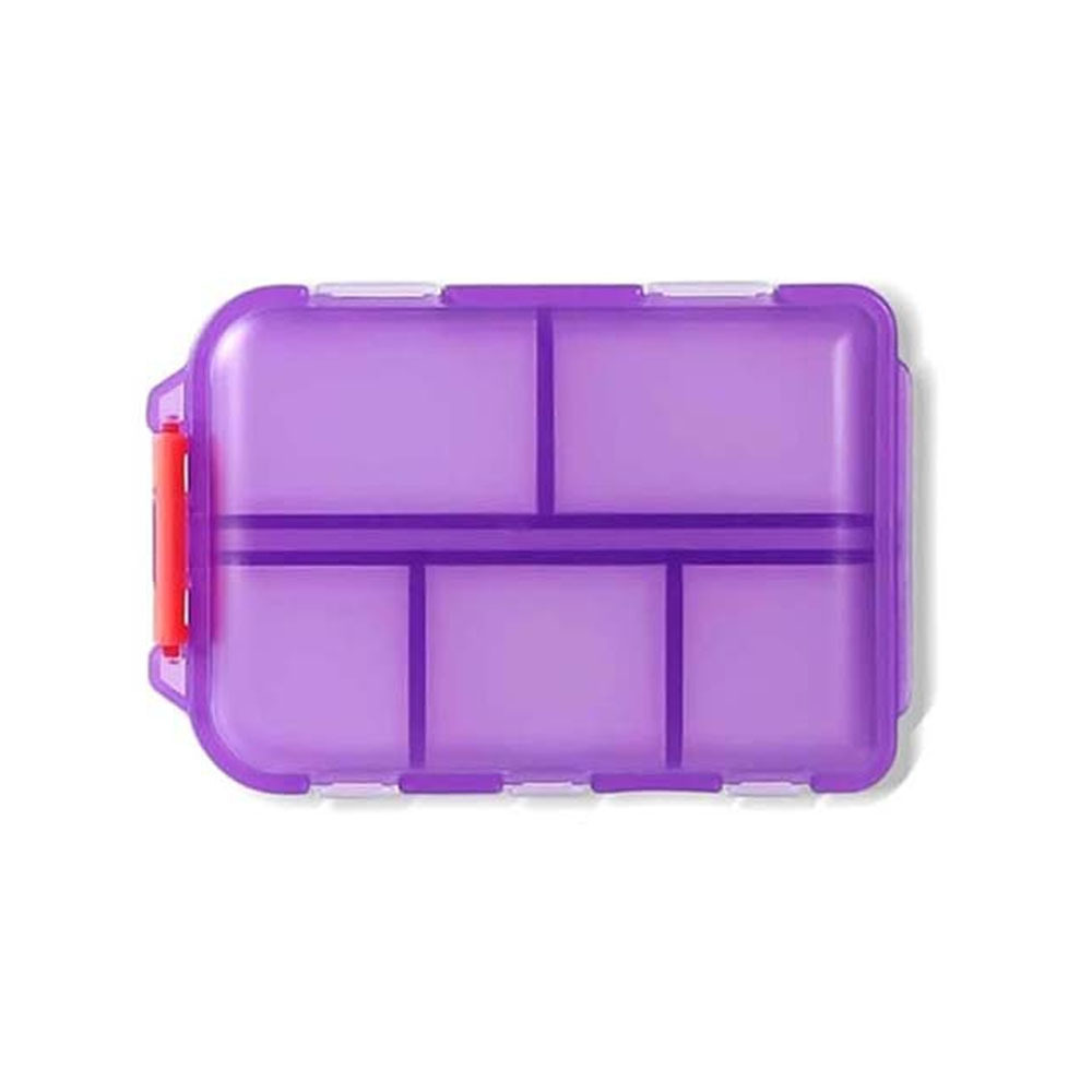 보라색; 플라스틱