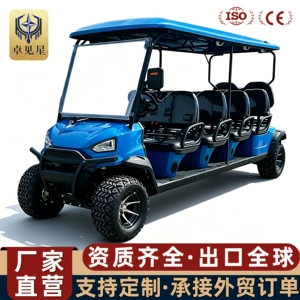 Off-road golf cart for homestay hotels, shuttle service to golf courses, reception and tourist attraction electric sightseeing vehicle