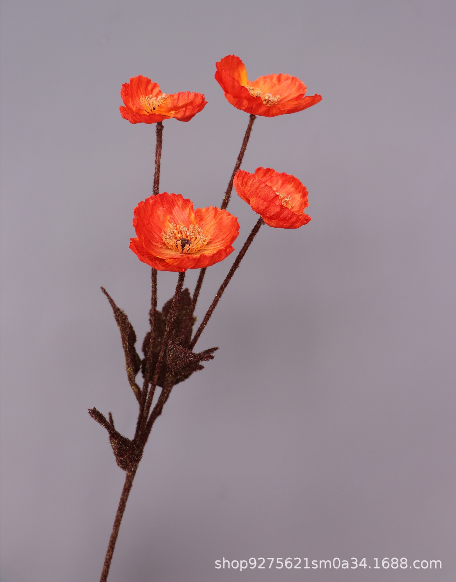 微信图片_20211003174336