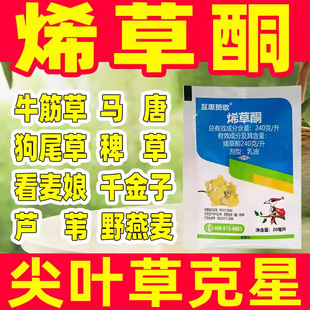 24%ϩ��ͪϩ�ݞ��~���݄����~�ݿ��ǌ���șţ��ݰ޲��JȔ�R��