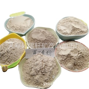 in stock Supply Dinosaur Fossil Archaeology Blind Box Gypsum Powder for Children Gypsum Powder for Archaeology