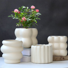 �����L�մɻ���ֲ��������Ծ��°�ɫins�p�݄����m������Gֲ��