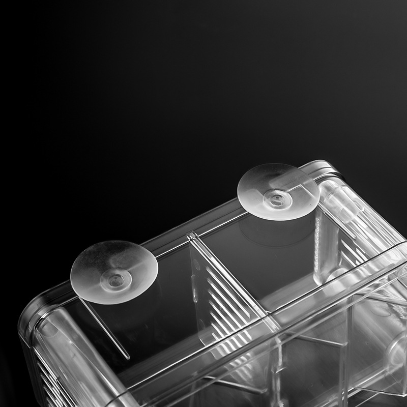 Tanque de peces incubadora Pavo Real incubadora de cría Caja de aislamiento acrílico caja de peces tropicales neumática oxigenación