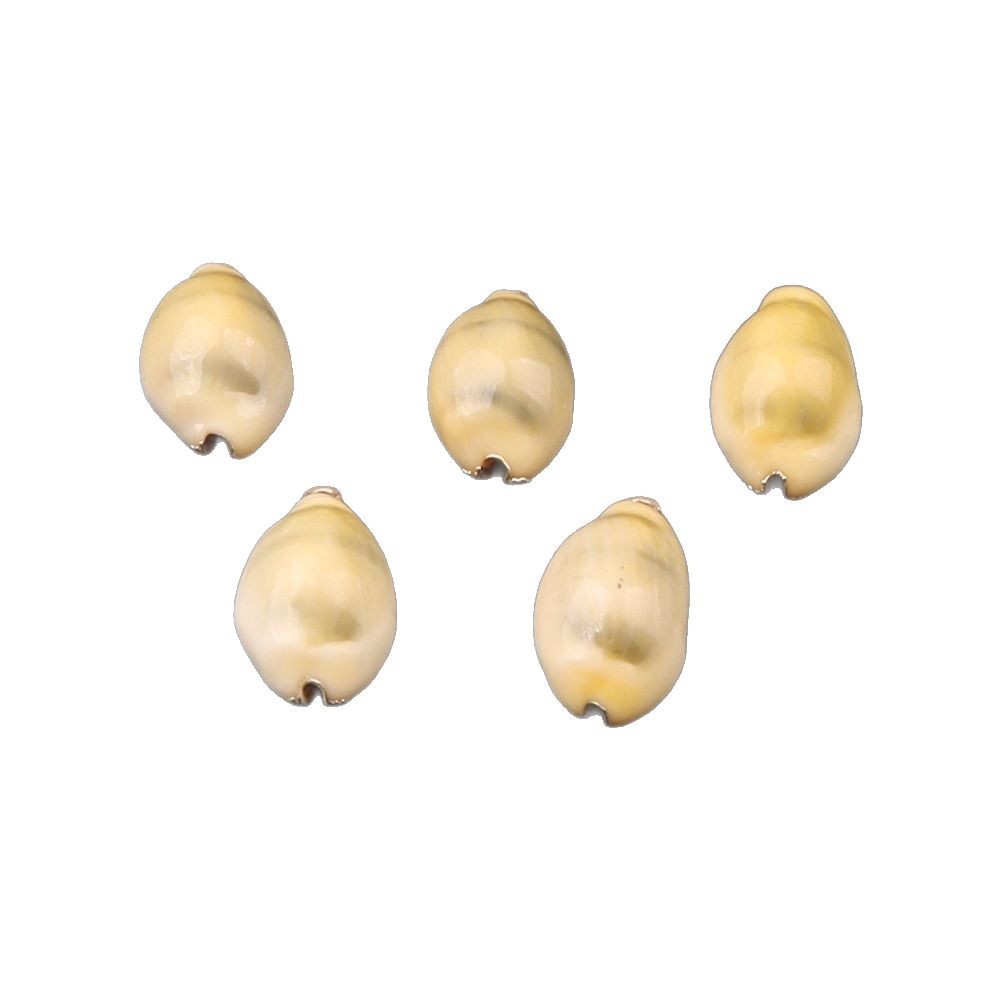 Gold-Plated Edges, Various Styles of Natural Shell Pendant Bracelets, Small Conch Semi-Finished DIY Accessory Materials