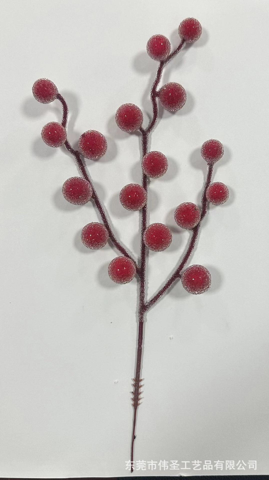 微信图片_20240828192326