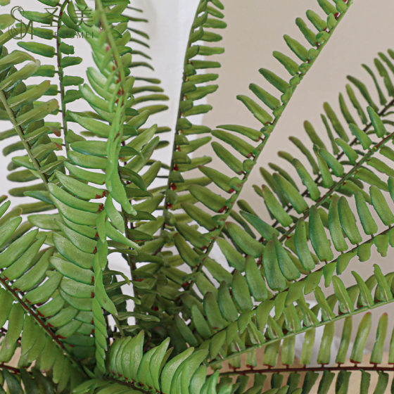Artificial feel Fern Persian grass Fern grass ground decoration small green plant wholesale plant wall accessories