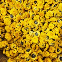 ��Դ��z�ʾ��Sɽɢ�b���S�ո��N�ջ��������Դ�^�S�����l����