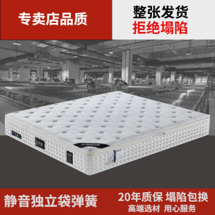 Latex Spring Mattress for Home Bedroom 1.68m Hotel Simmons Thickeneded Anti-Collapse Whole Delivery
