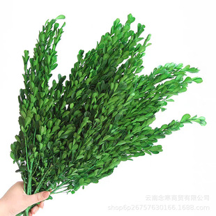 ����С�~�S���}�Q�b��~�Ļ��hdiy���~�羳���l�滨�����S��ľ��